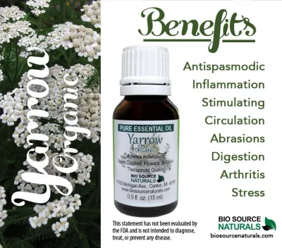 Yarrow Pure Essential Oil - Organic - Product  Bulletin