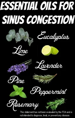 Pine, Scots Pure Essential Oil (Organic) - Bulgaria, Hungary - Product Bulletin