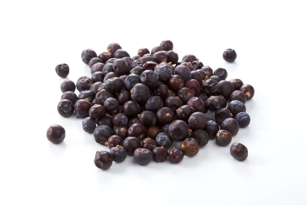 Juniper Berry, Organic Pure Essential Oil Analysis Report