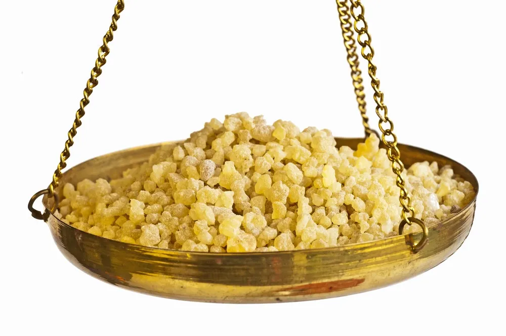 Frankincense - Boswellia carterii Pure Essential Oil Analysis Report