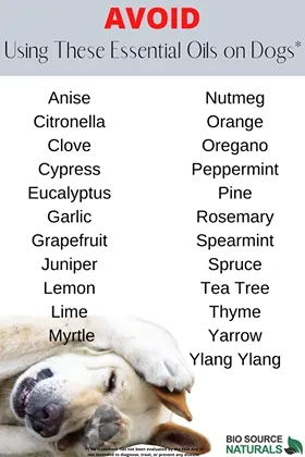 Essential Oils to AVOID for Dogs Chart -FREE DOWNLOAD