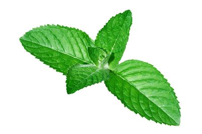Peppermint Pure Essential Oil Emotional &amp; Spiritual Affirmation Digital Card