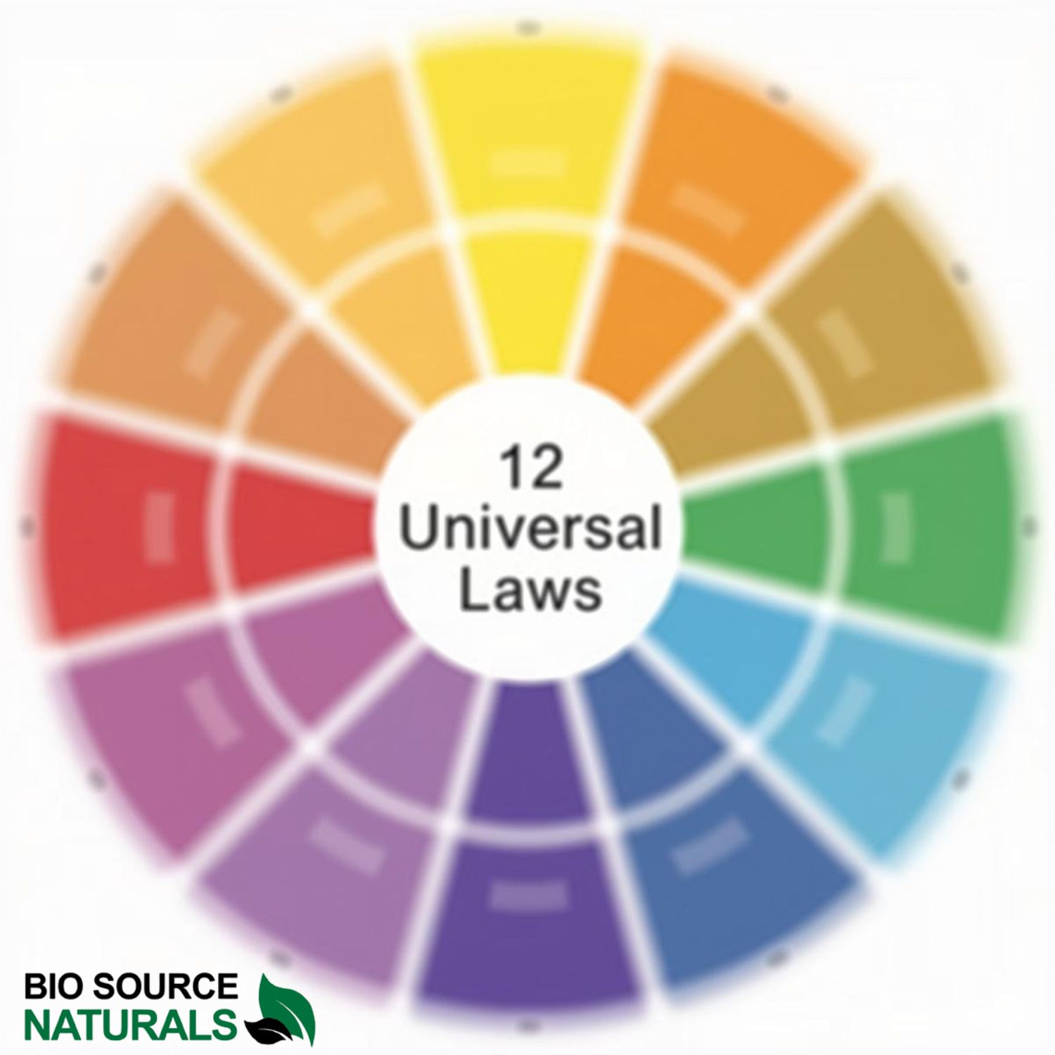 DIY Essential Oil Perfume &amp; Diffuser Recipes for the 12 Universal Laws - Free Download