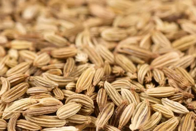 Fennel, Sweet Pure Essential Oil - Hungary Analysis Report