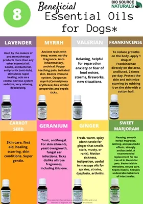 Essential Oils Beneficial for Dogs Chart -FREE DOWNLOAD