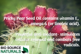 Prickly Pear Seed Oil - 8 fl oz (240 ml)