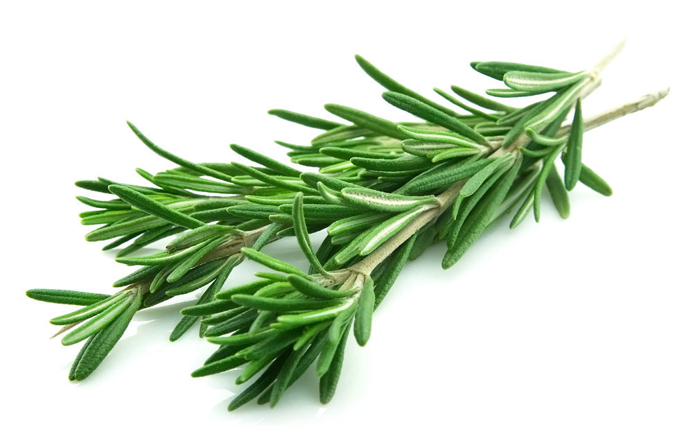 Rosemary, Verbenone CT Pure Essential Oil - Morocco - Analysis Report