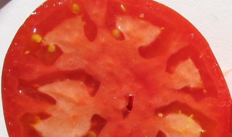 Tomato Seed Carrier Oil - 8 fl oz (240 ml)
