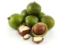 Macadamia Nut, Organic Carrier Oil - 1 fl oz (30 ml)