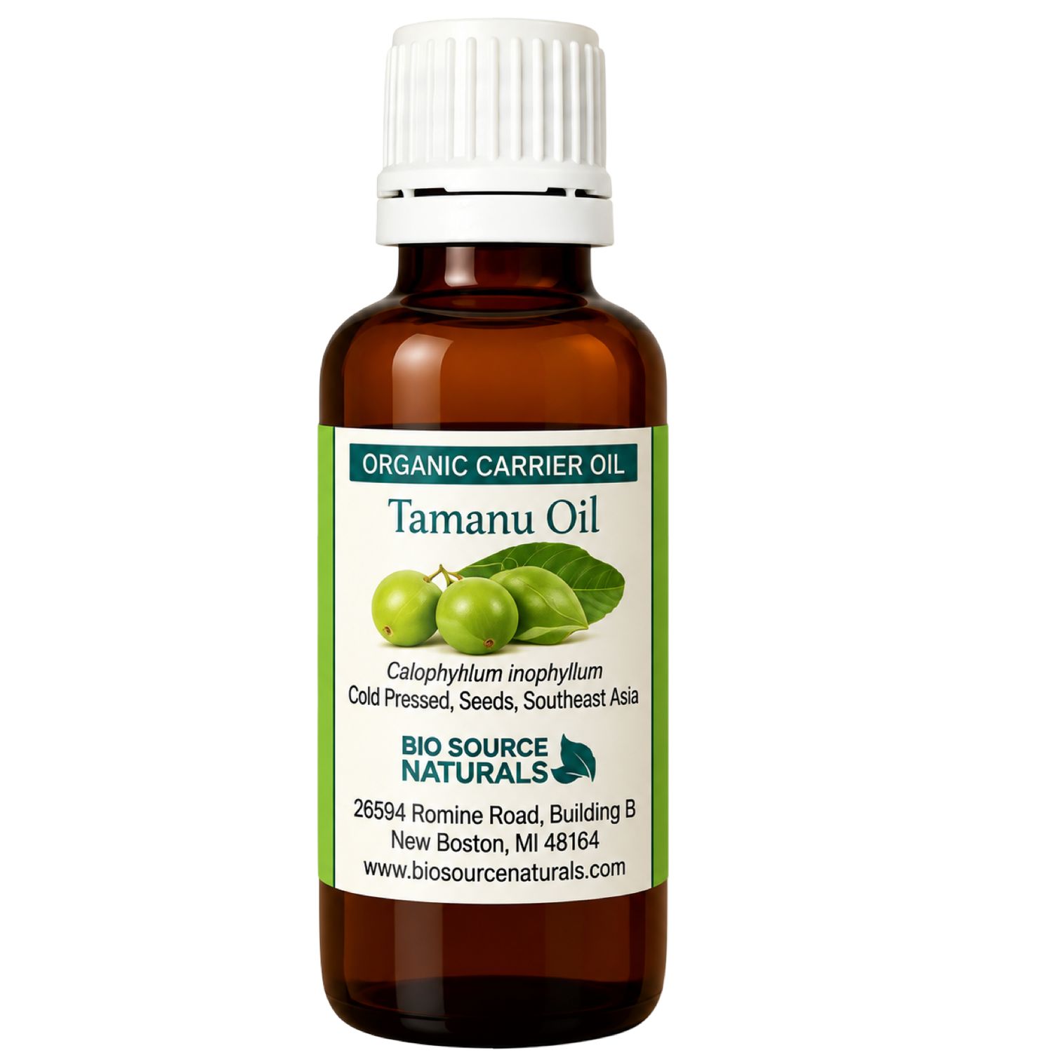 Tamanu, Organic Carrier Oil - 1 fl oz (30 ml)