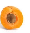 Apricot Kernel Carrier Oil - 8 fl oz (227 ml)