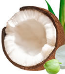Fractionated Coconut Oil 8 fl oz (227 ml) ​MCT