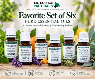 Favorite Essential Oils Set of Six