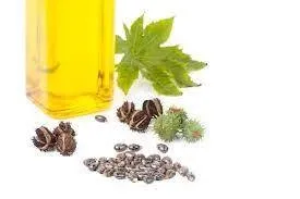 Castor Oil, Organic, Hexane-Free (Kosher) 8 fl oz (240 ml) Carrier Oil