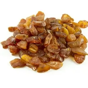 Amber Resin Oil Analysis Report