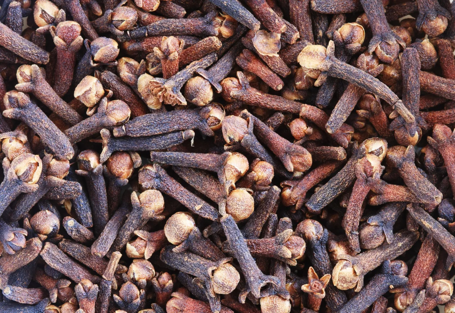 Clove Bud Pure Essential Oil  Analysis Report