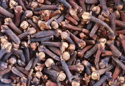 Clove Bud Pure Essential Oil  Analysis Report