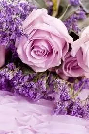 Lavender Rose Massage Oil/Personal Fragrance Oil 8 fl oz (227 ml)