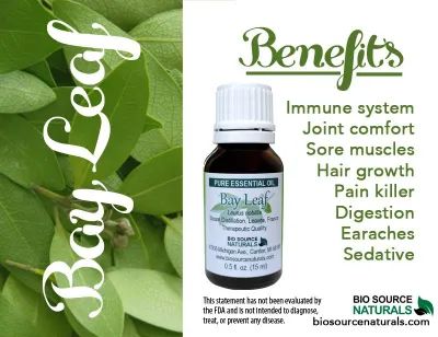 Bay Leaf  - Laurel Leaf Pure Essential Oil Product Bulletin