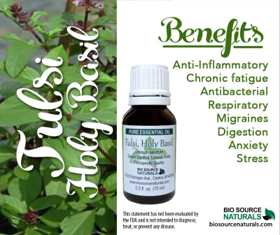 Basil, Holy (Tulsi)  Pure Essential Oil Product Bulletin