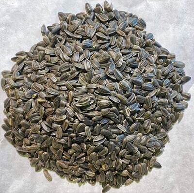 40 lb bag Premium Black Oil Sunflower Bird seed, Pesticide Free