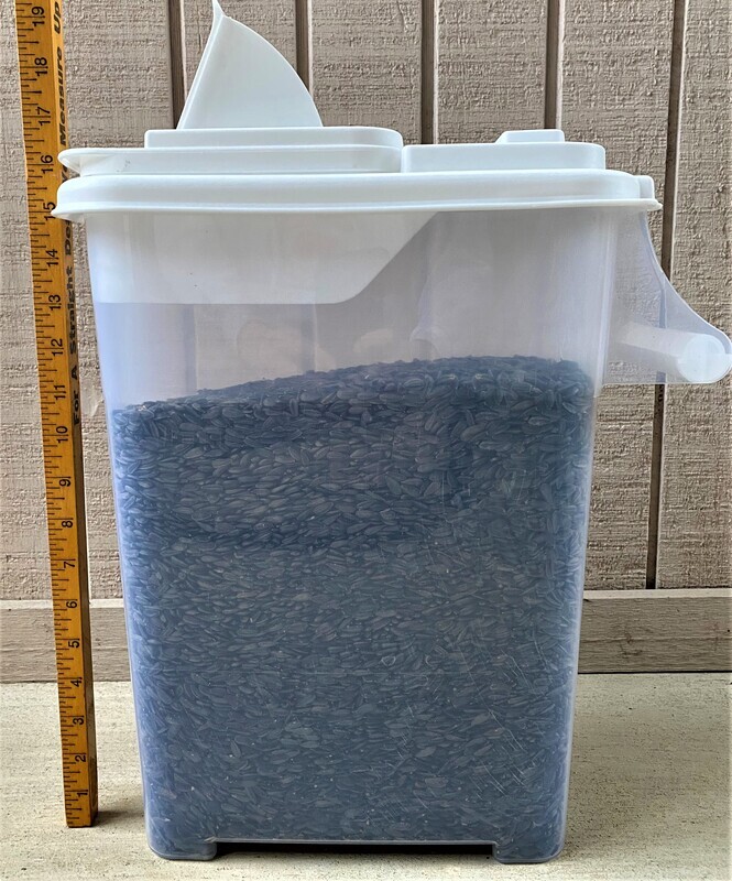 16 qt Pour Spout Container