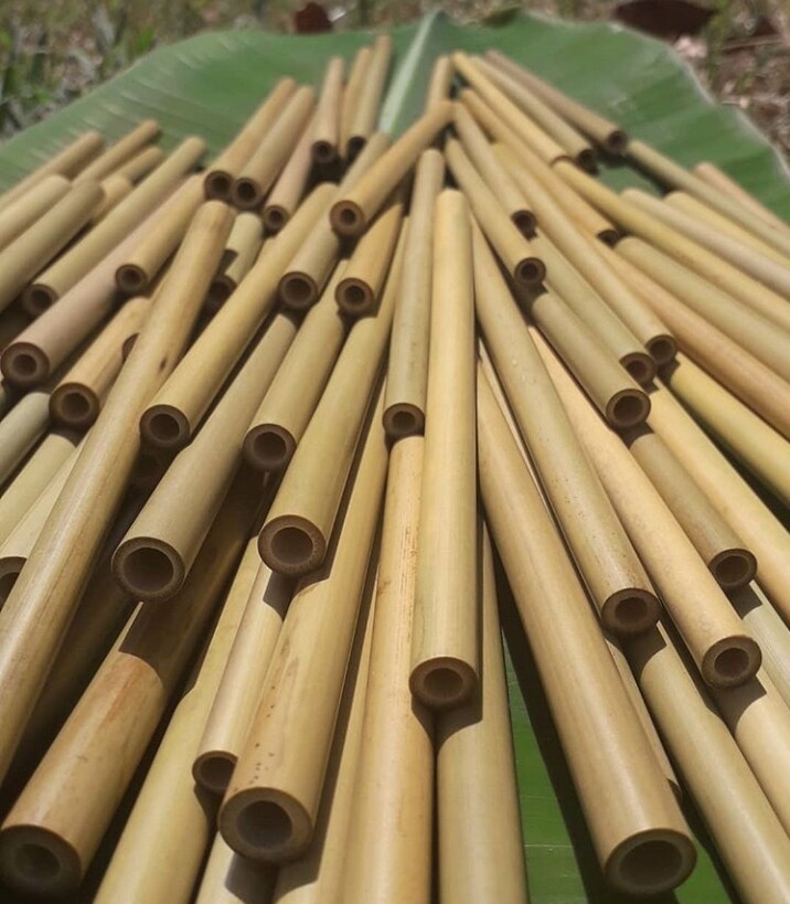 Bamboo Staw
