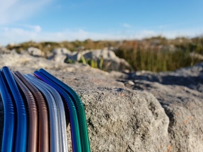 Stainless Steel Straw