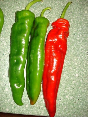 Pemento Italiano (500 gr)