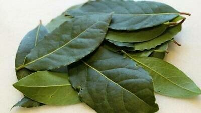 Loureiro seco (15gr.)