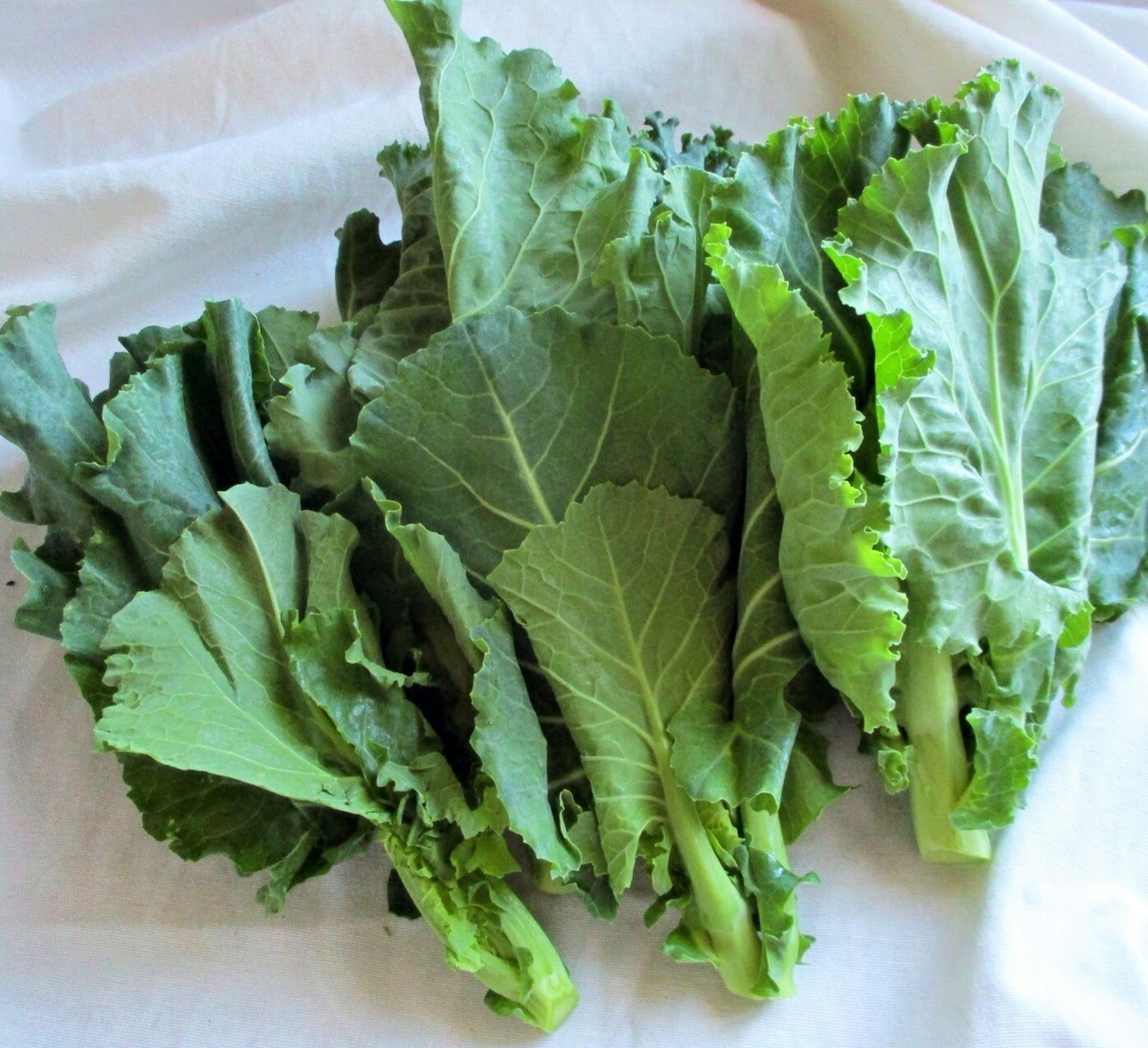 Xenos de repollo (500gr.)