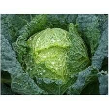 Repollo rizo (0,9-1,2kg)