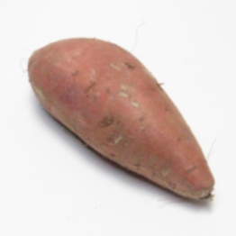 Boniato (450-500 gr)