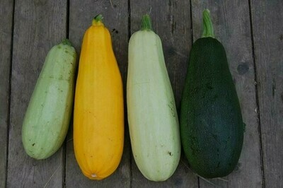 Calabacín verde (450-500 gr)
