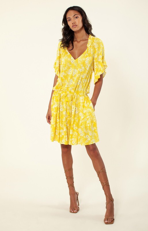 Hale Bob Marae Dress