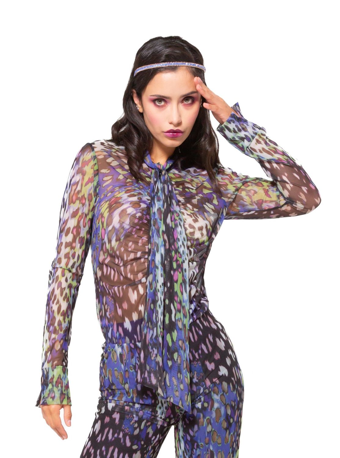 Button  Front Sheer Blouse