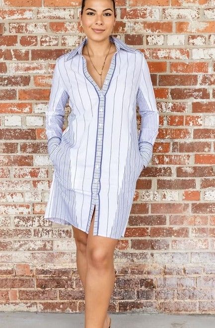 Raiment Zenzelle Shirt Dress