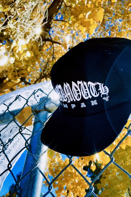 COMPANY HAT