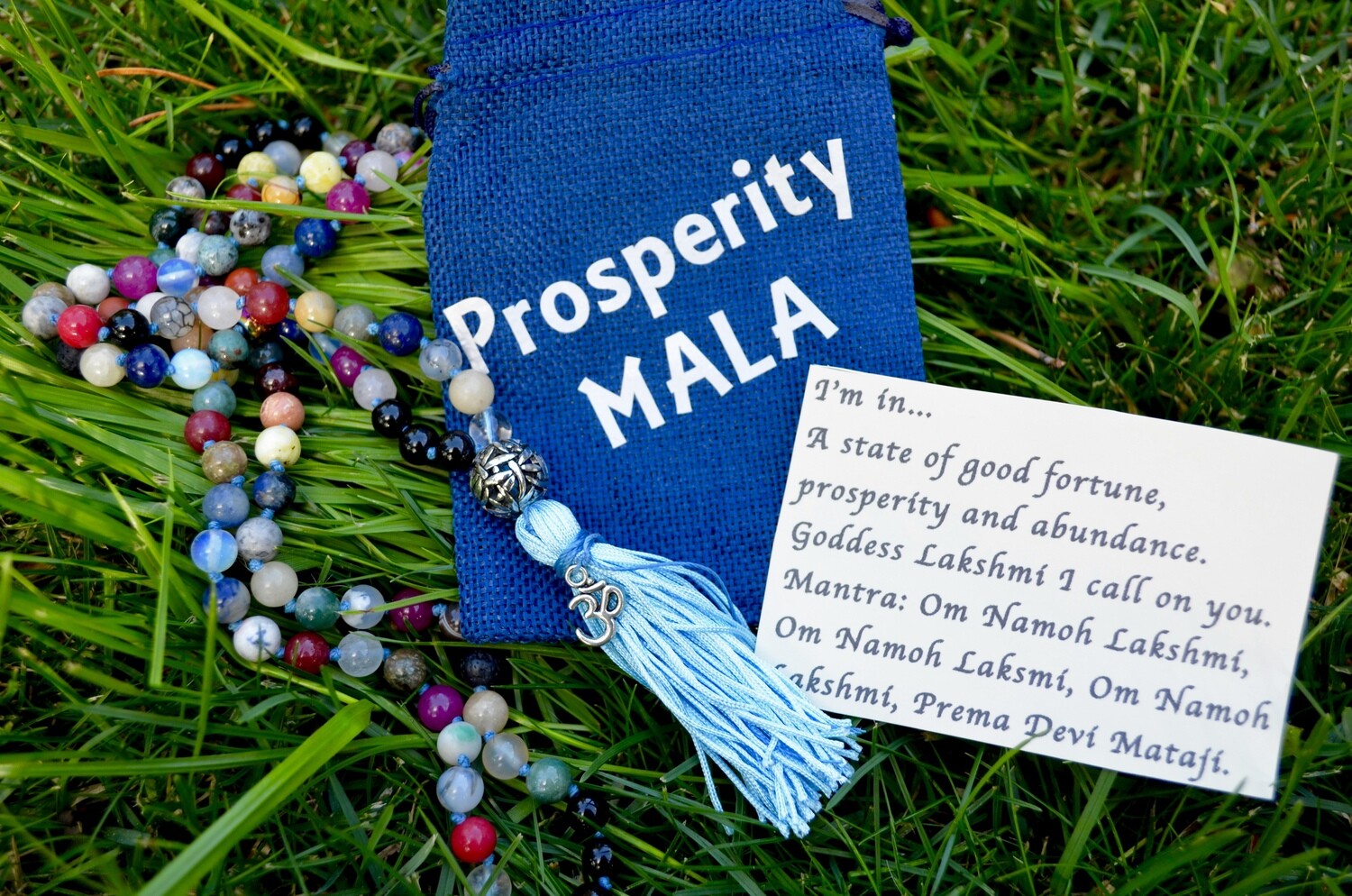 Prosperity ~ Dragonfly Om Mala
