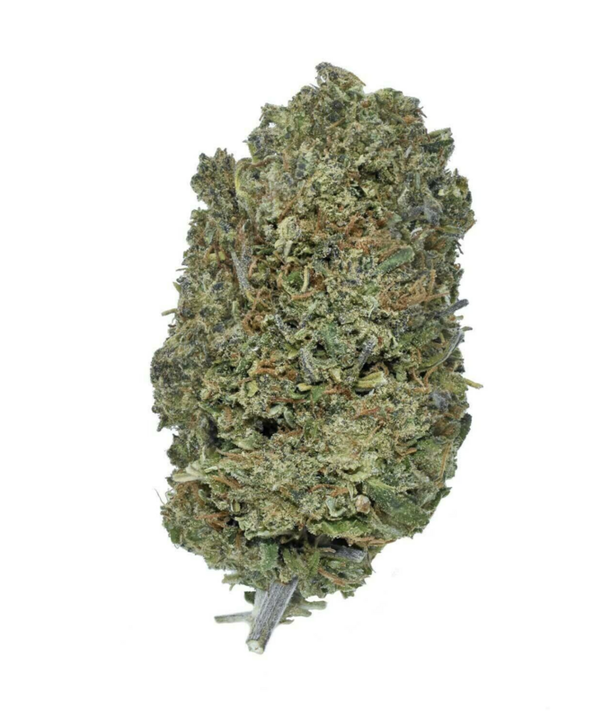 Hawaiian Haze - Organic Hemp CBD Flower Hawaiian Haze - Organic Hemp CBD Flower