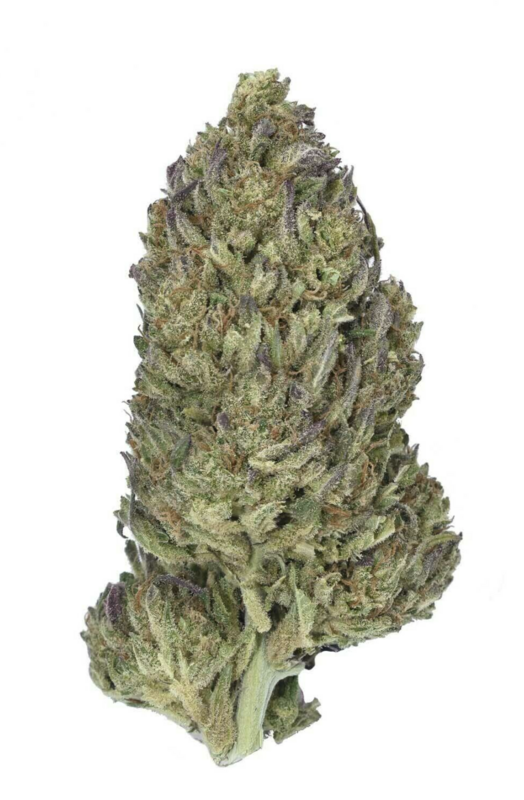 Oregon Guava - Organic Hemp CBD Flower Oregon Guava - Organic Hemp CBD Flower