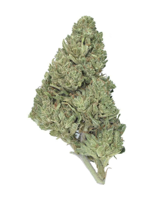 Pear Blossom - Organic Hemp CBD Flower Pear Blossom - Organic Hemp CBD Flower