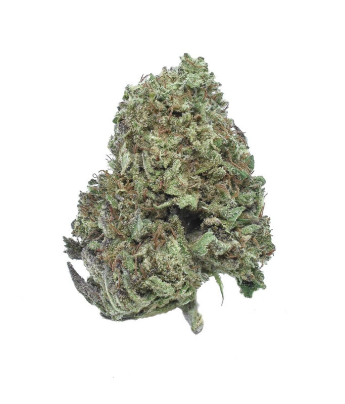 AC/DC Canna Tsu - Organic Hemp CBD Flower AC/DC Canna Tsu - Organic Hemp CBD Flower