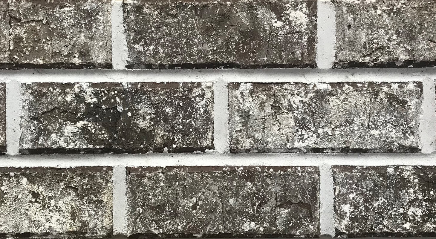 HENRY BRICK - Monte Sano