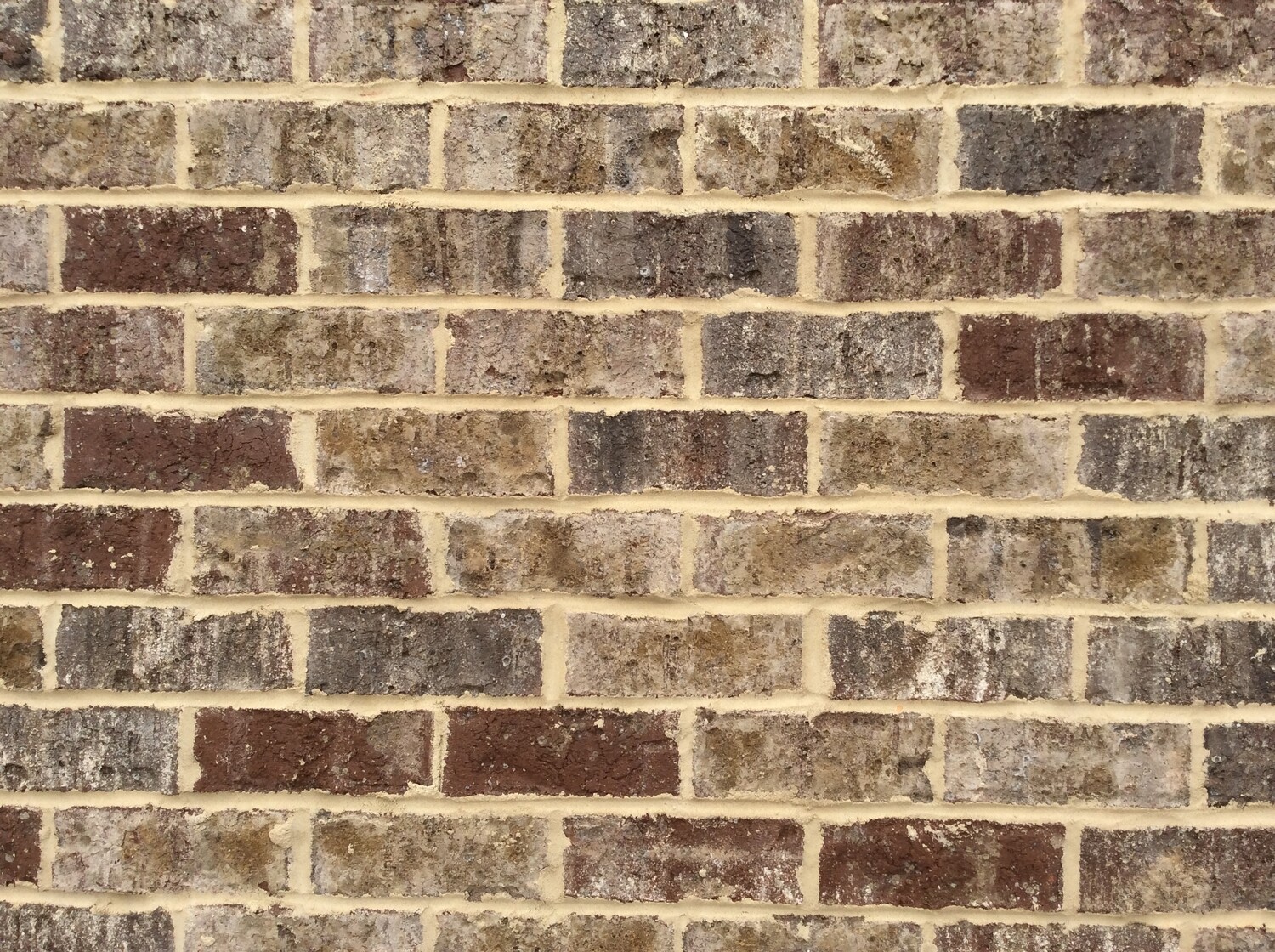 PINE HALL BRICK - Harbour Shoals