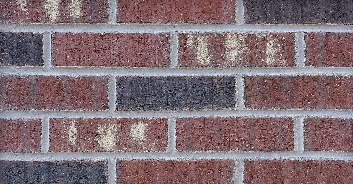 STATESVILLE - Old Plantation Red