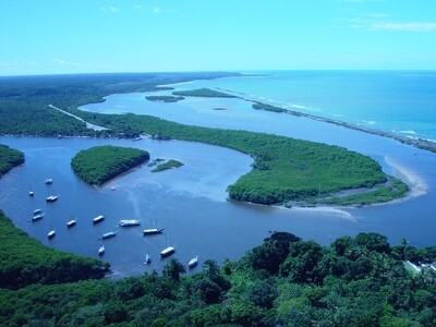 COROA ALTA