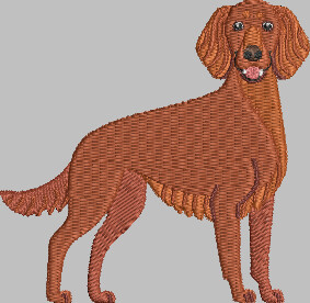 Dogs