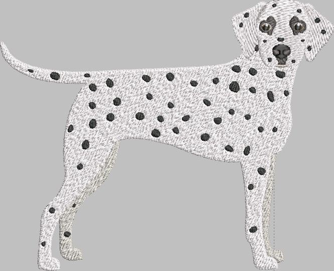 Dalmation Embroidery Design