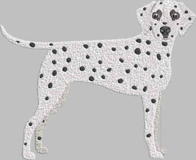 Dalmation Embroidery Design